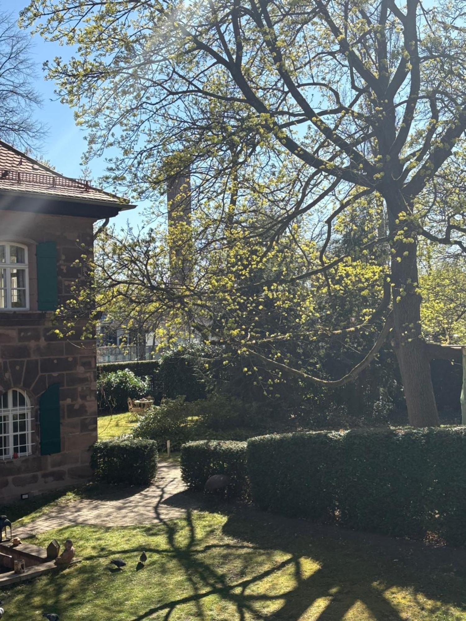 Forsthaus Zu Lichtenhof Homestay *