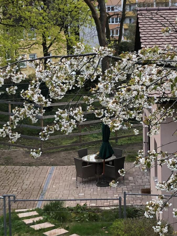 Forsthaus Zu Lichtenhof Norymberga